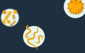 Détail de la formation Acquérir les notions de base sur les risques biologiques