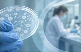 Détail de la formation La prévention des risques biologiques